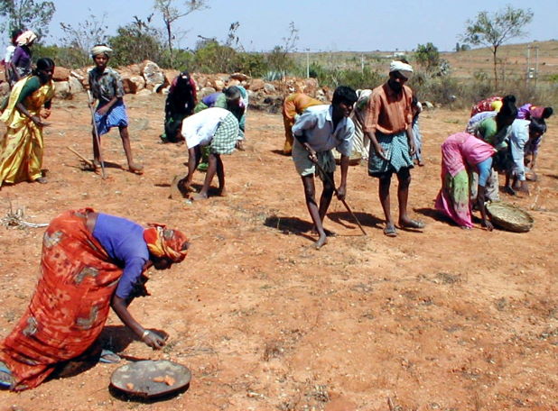 Dry Land Development Programme